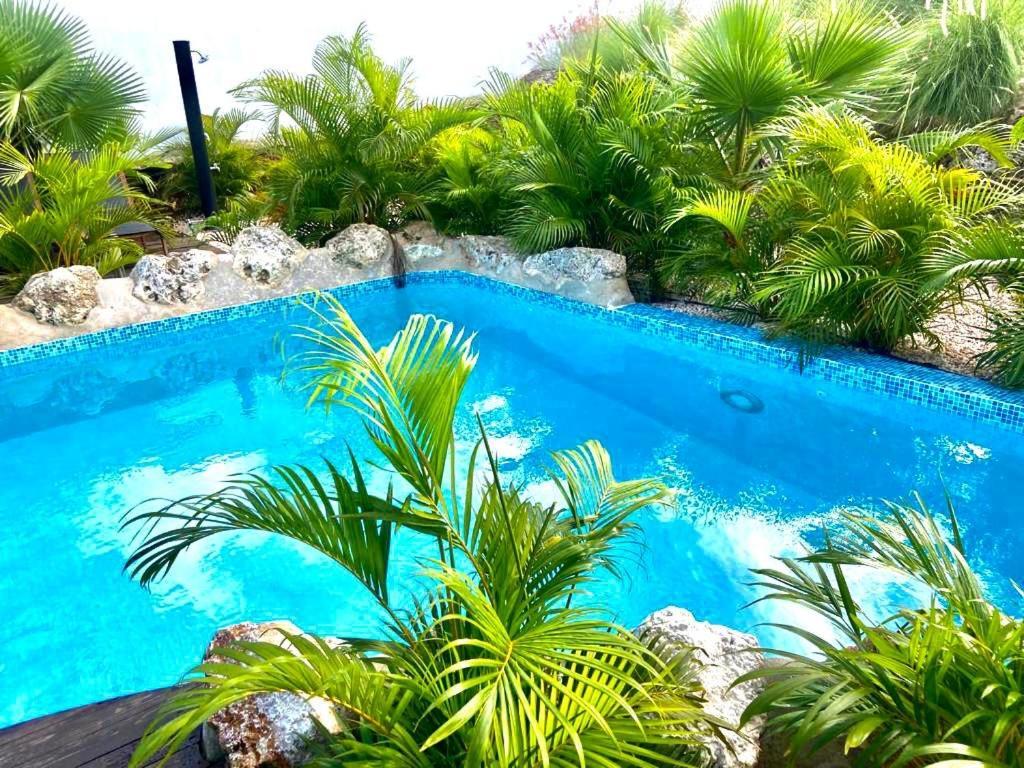 Neue Villa Tropic Paradise Willemstad Exteriör bild