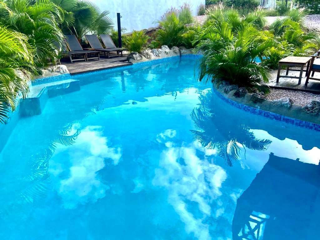 Neue Villa Tropic Paradise Willemstad Exteriör bild